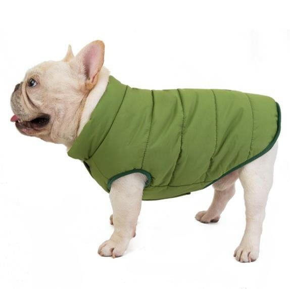 Dog Cotton Vest - Comfortable and Stylish for Bulldogs and Other Breeds.