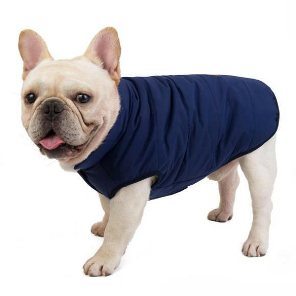 Dog Cotton Vest - Comfortable and Stylish for Bulldogs and Other Breeds.