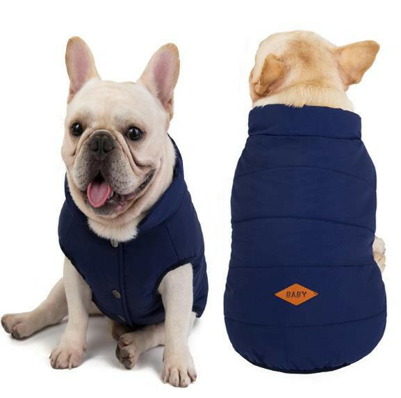 Dog Cotton Vest - Comfortable and Stylish for Bulldogs and Other Breeds.