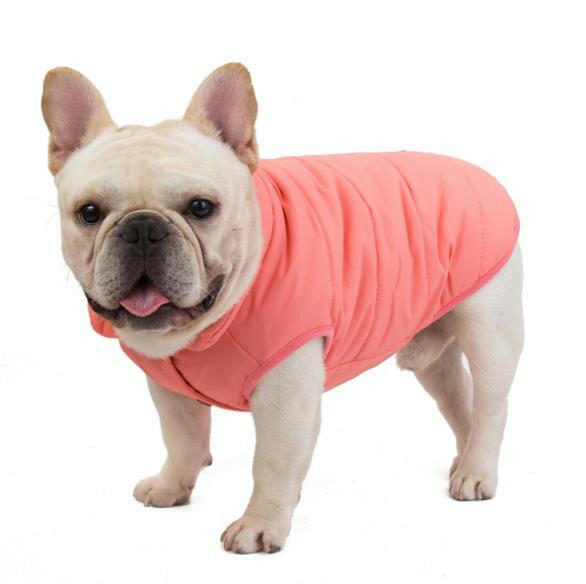 Dog Cotton Vest - Comfortable and Stylish for Bulldogs and Other Breeds.